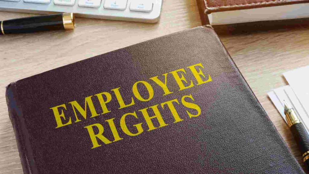 A Complete Overview of Employee Rights During HR Investigation
